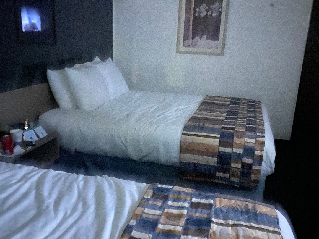 Microtel Inn & Suites by Wyndham Tomah主图