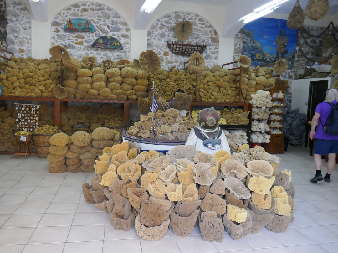 Factory of Natural Sponges-Pothia必去景点