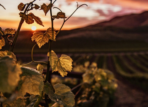 Talixo Tuscany-佛罗伦萨必去景点