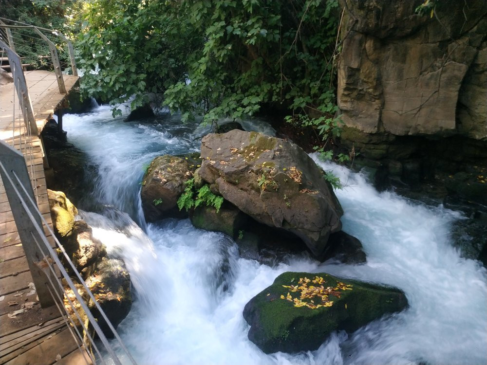 Banias Nature Reserve-戈兰高地必去景点