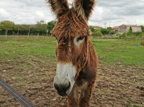 Parc Du Coq à l'Âne-Saint-Georges-de-Rex必去景点