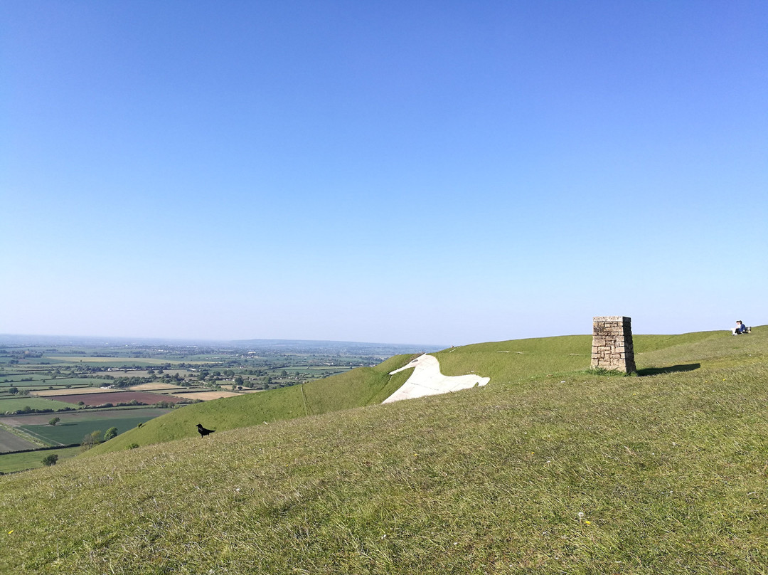 Westbury White Horse景点图片