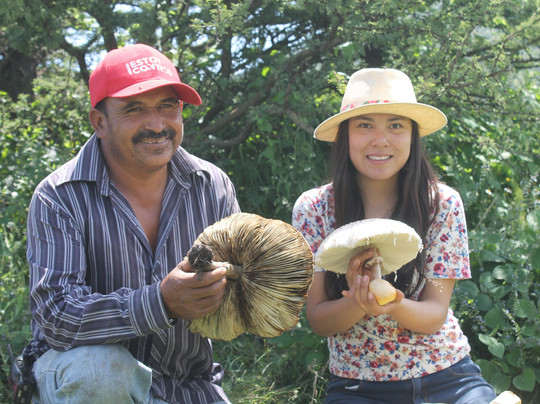 Ecopil AC-Apaxco de Ocampo必去景点