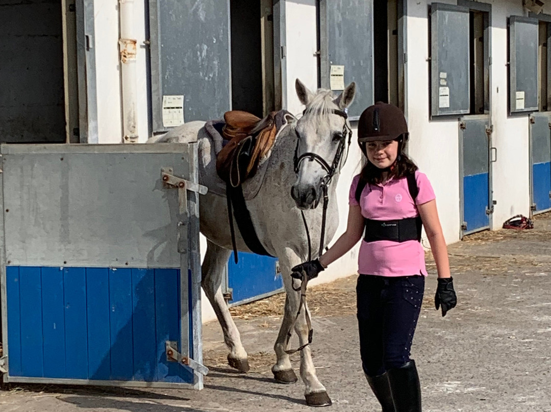 Centre Equestre Baulois景点图片