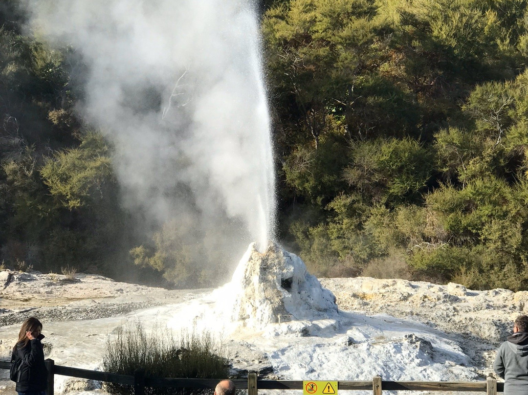 Te Whare Taonga O Waikato Museum & Gallery-汉密尔顿必去景点