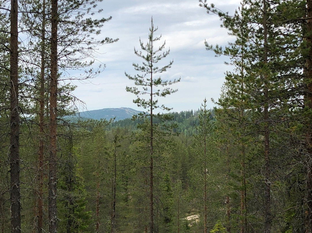 Syote National Park-Pudasjarvi必去景点