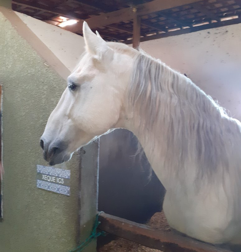 Ladiv'ttá Spa & Hotel Boutique主图