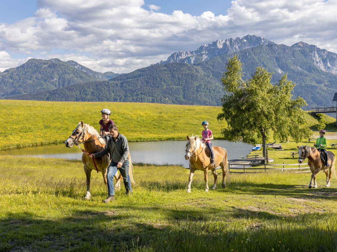 Moesslacherhof主图