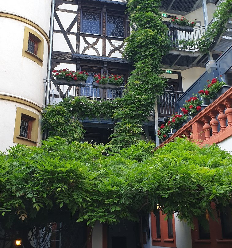 Hotel Restaurant Doctor Weinstuben主图