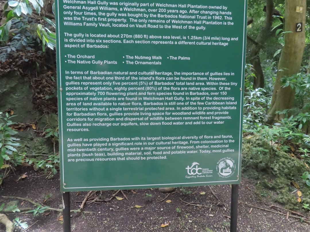 Welchman Hall Gully-Saint Thomas Parish必去景点