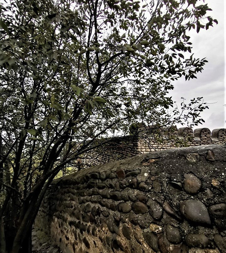 Signagi City Walls-西格纳吉必去景点
