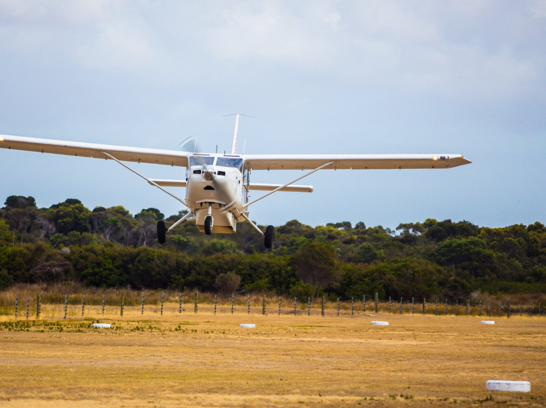 Flinders Island Aviation景点图片