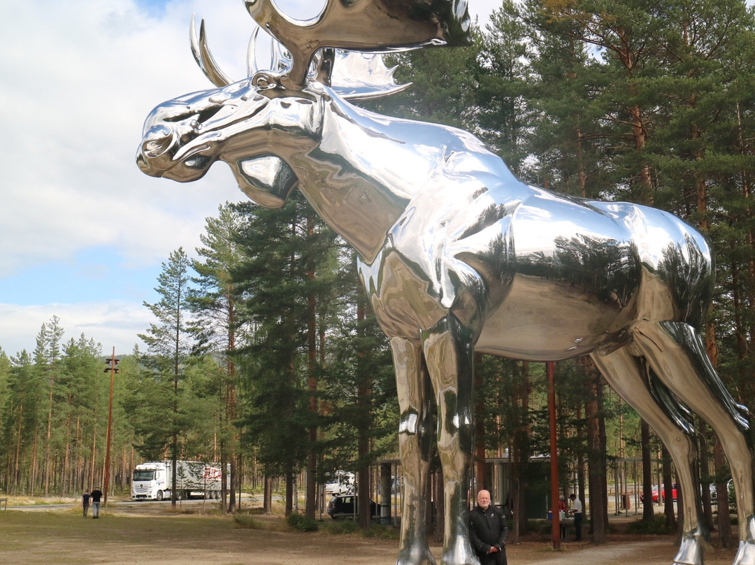 Stor-Elvdal Municipality旅游攻略图片