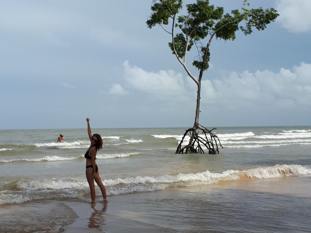 Barra Velha Beach-Soure必去景点