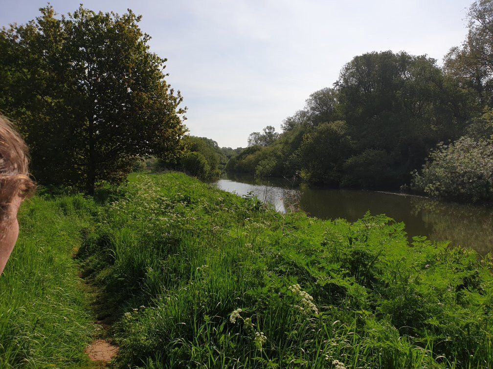 The River Nene Walk景点图片