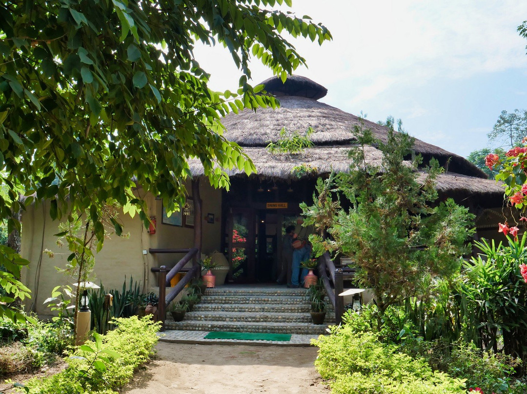 老虎庙绿色丛林度假酒店主图