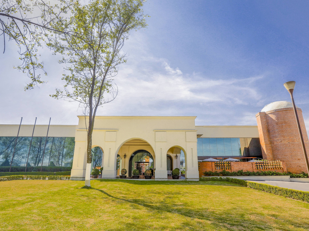 托卢卡机场万怡酒店主图