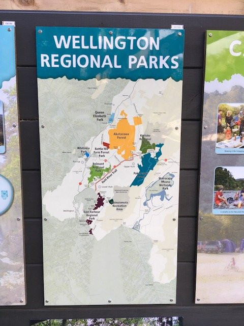 Kaitoke Regional Park景点图片