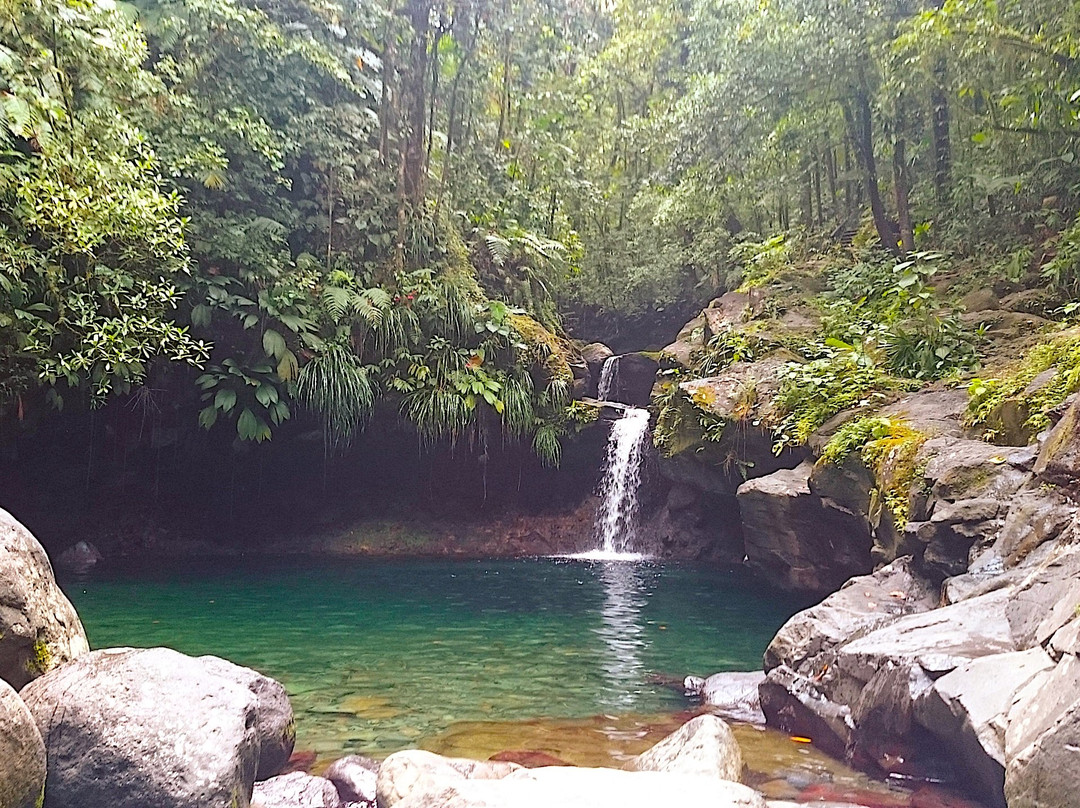 La Cascade Paradis景点图片