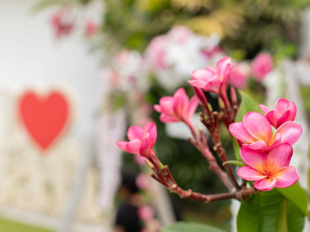 巴厘岛馈礼水疗-水明漾必去景点