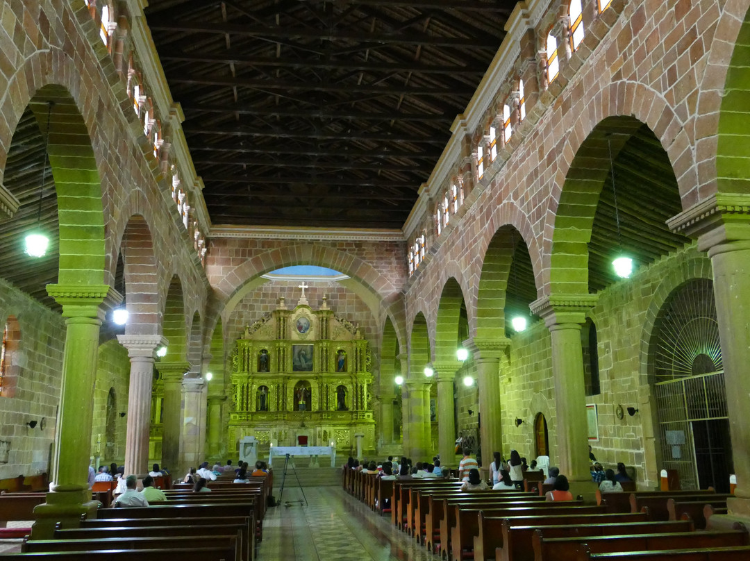 Catedral de la Inmaculada Concepcion景点图片
