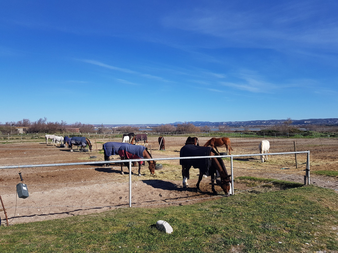 Site naturel protege de l'etang de Bolmon-Chateauneuf-les-Martigues必去景点