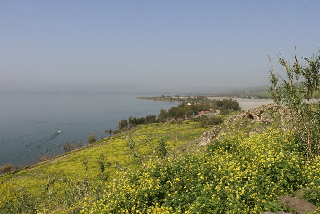 מצפה נוקייב-Kinneret必去景点