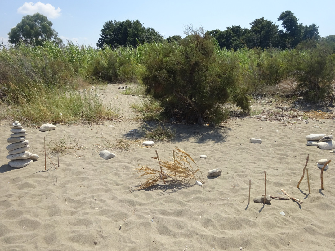 Polis Municipal Beach-城邦必去景点