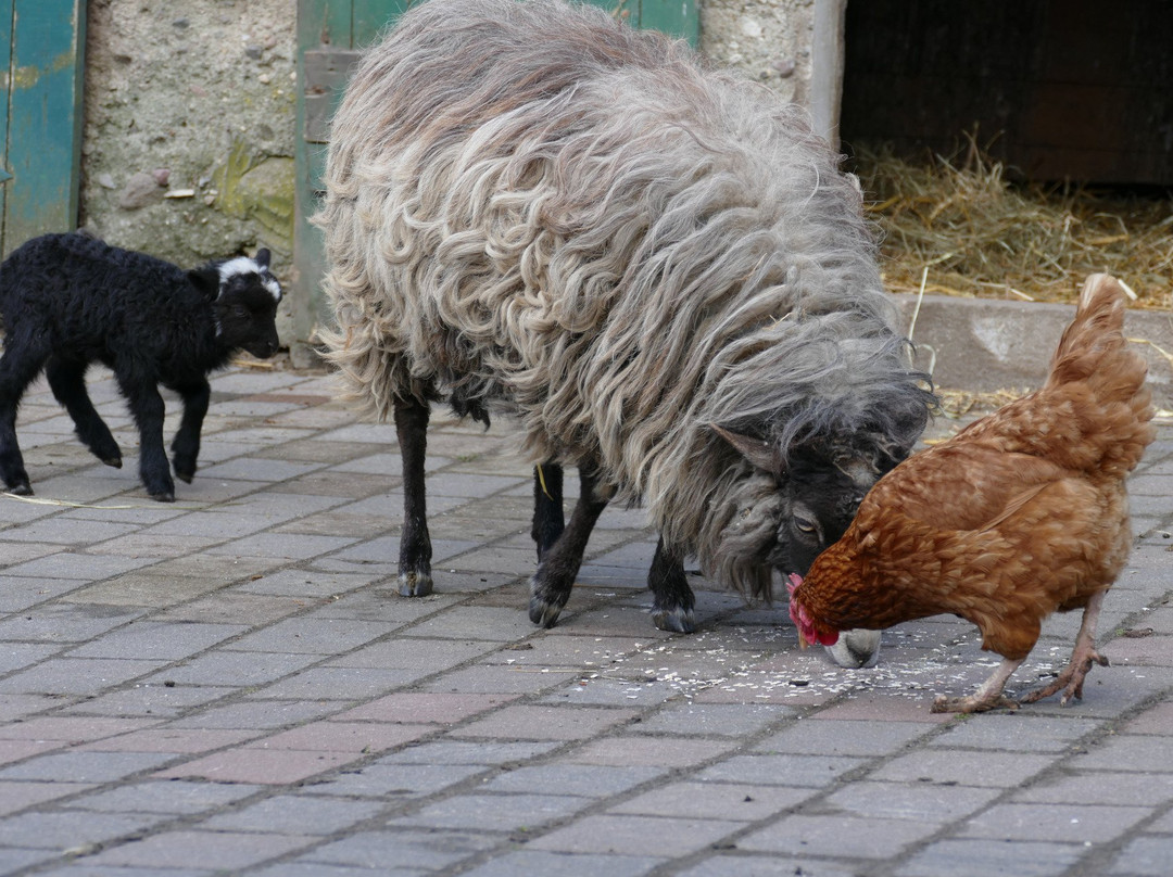 Landgasthof Kasch主图