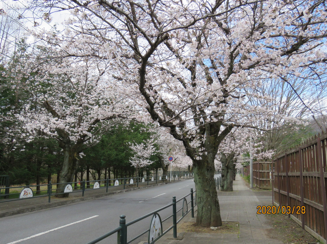 Nagatoromachi Tourist Information Center-长瀞町必去景点