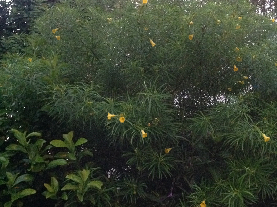 Marvel Tree Hotel Bozyazi主图