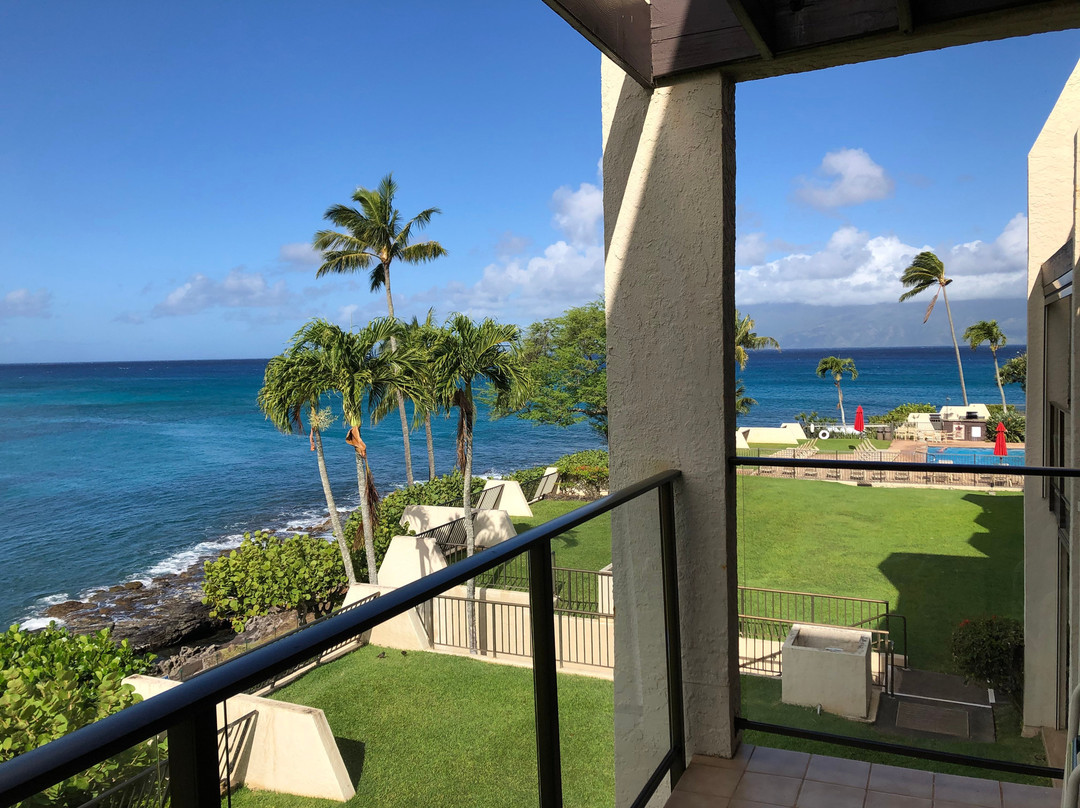 Napili Point Resort主图