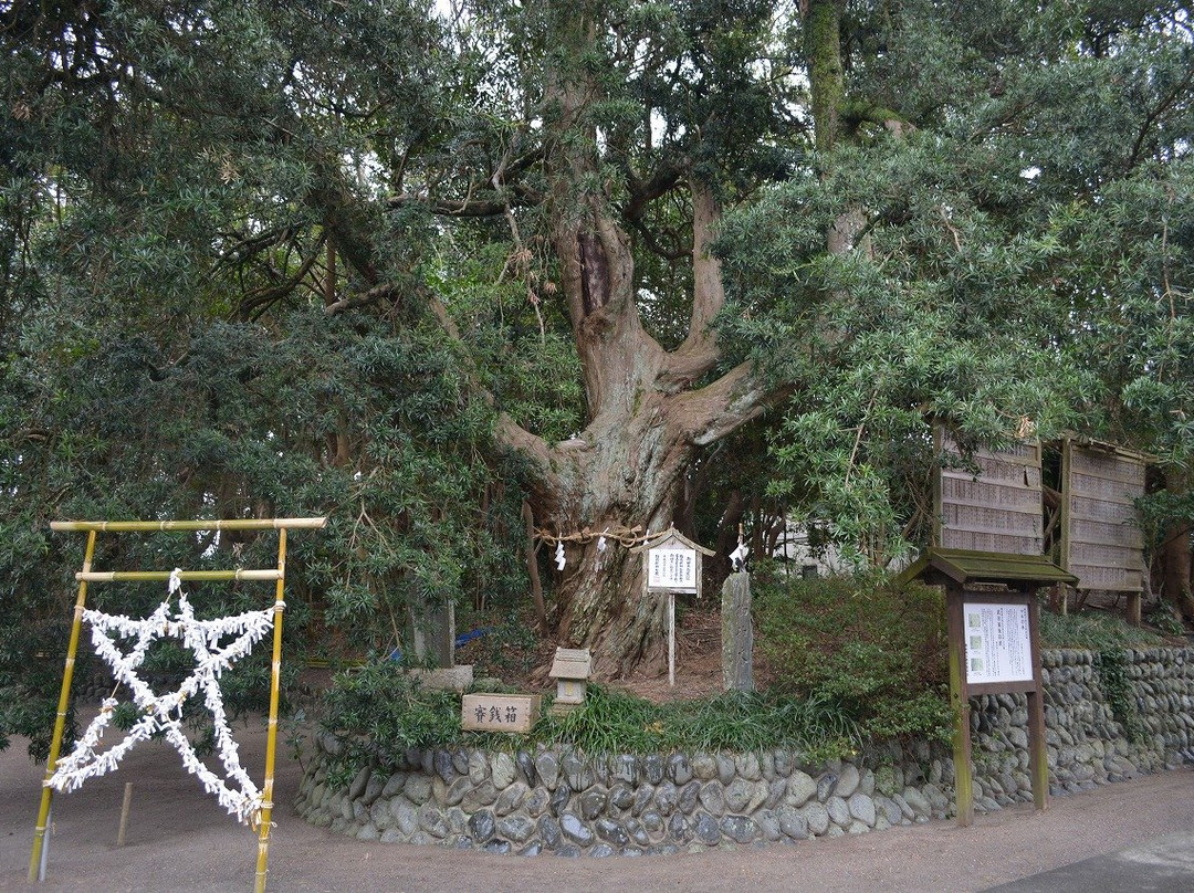 Shirowa Shrine景点图片