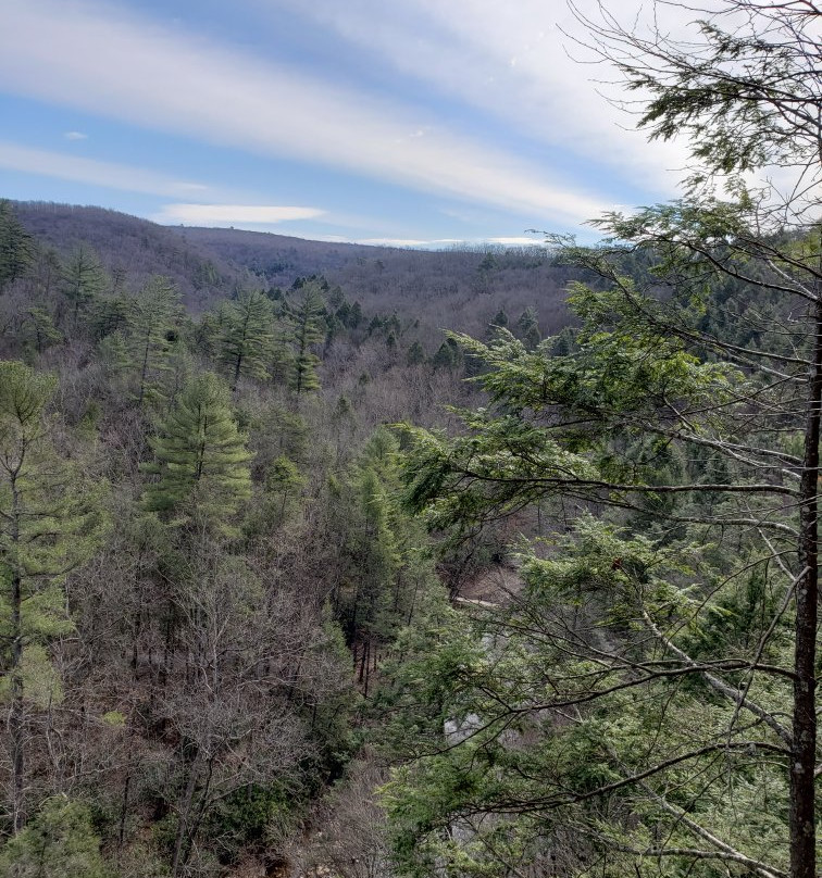 Trough Creek State Park景点图片
