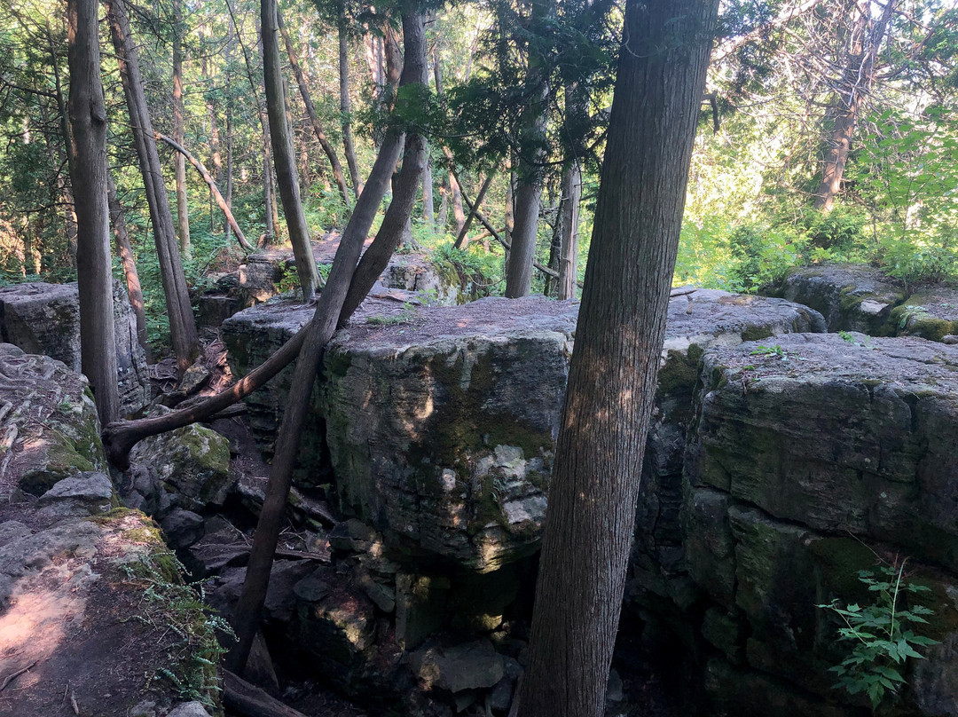 Limehouse Conservation Area-霍尔藤山市必去景点