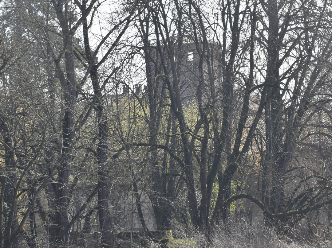 Castello di Olevano di Lomellina-Olevano di Lomellina必去景点