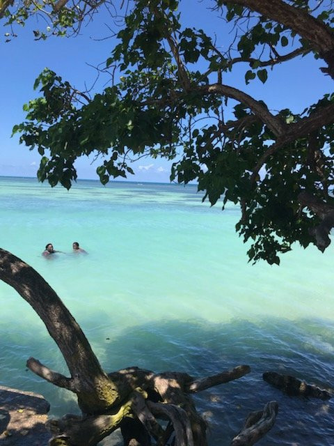 Beanland Tours-蒙特戈贝必去景点