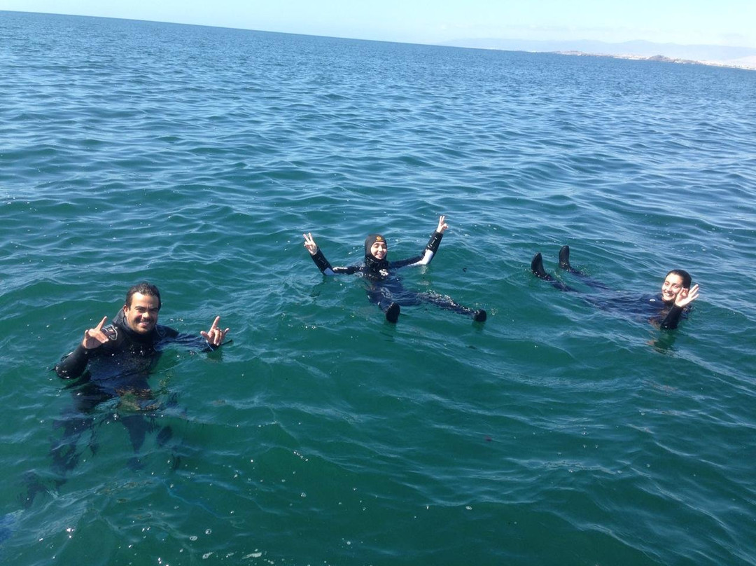 Atacama Diving Centro de Buceo-Bahia Inglesa必去景点