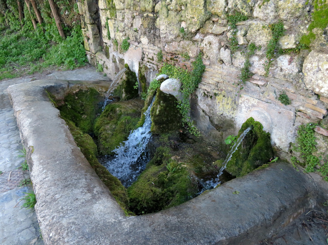 Fontana Nova-塔尔奎尼亚必去景点