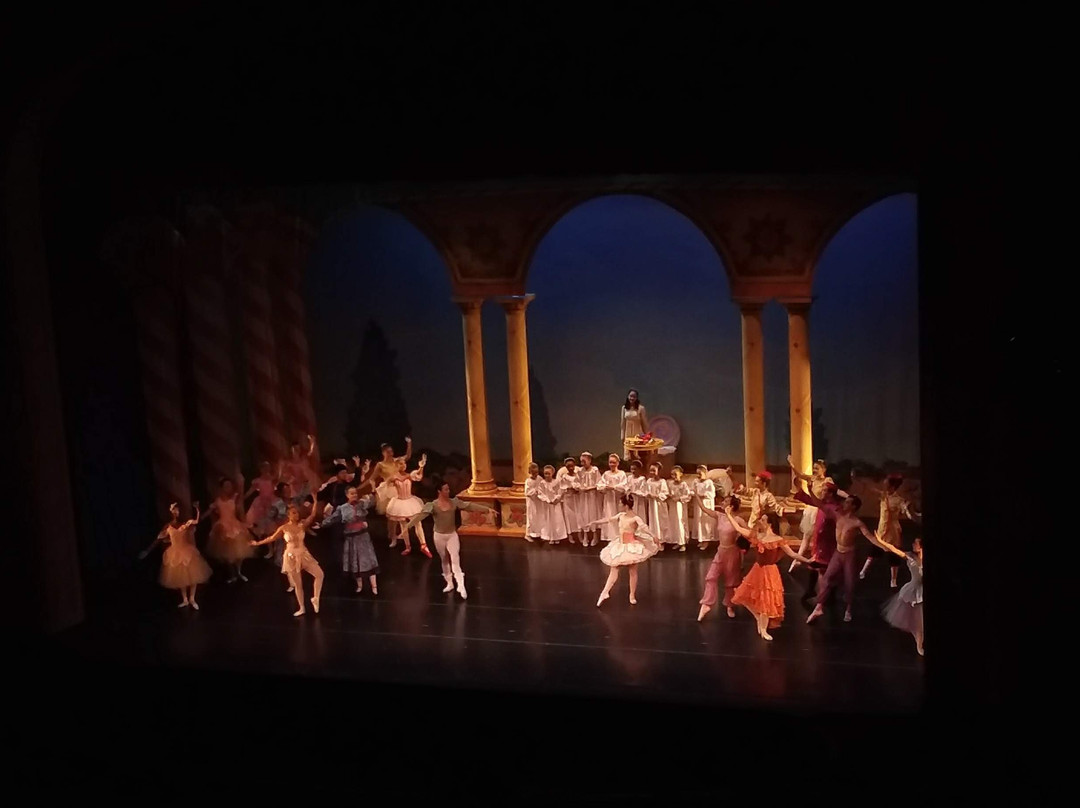Carolina Theatre景点图片