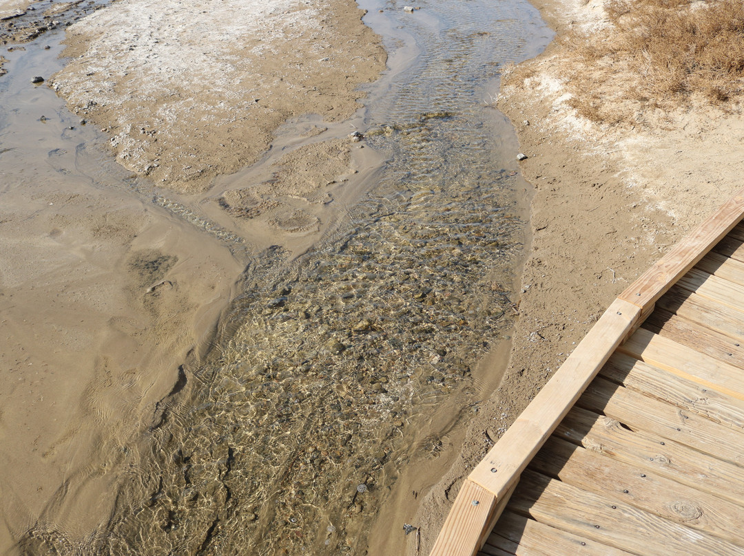 Salt Creek Interpretive Trail-死亡谷国家公园必去景点