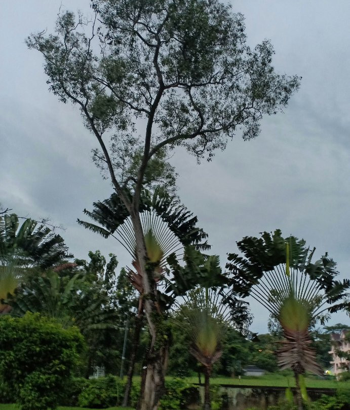 Taman Rekreasi Tasik Y-峇株巴辖必去景点