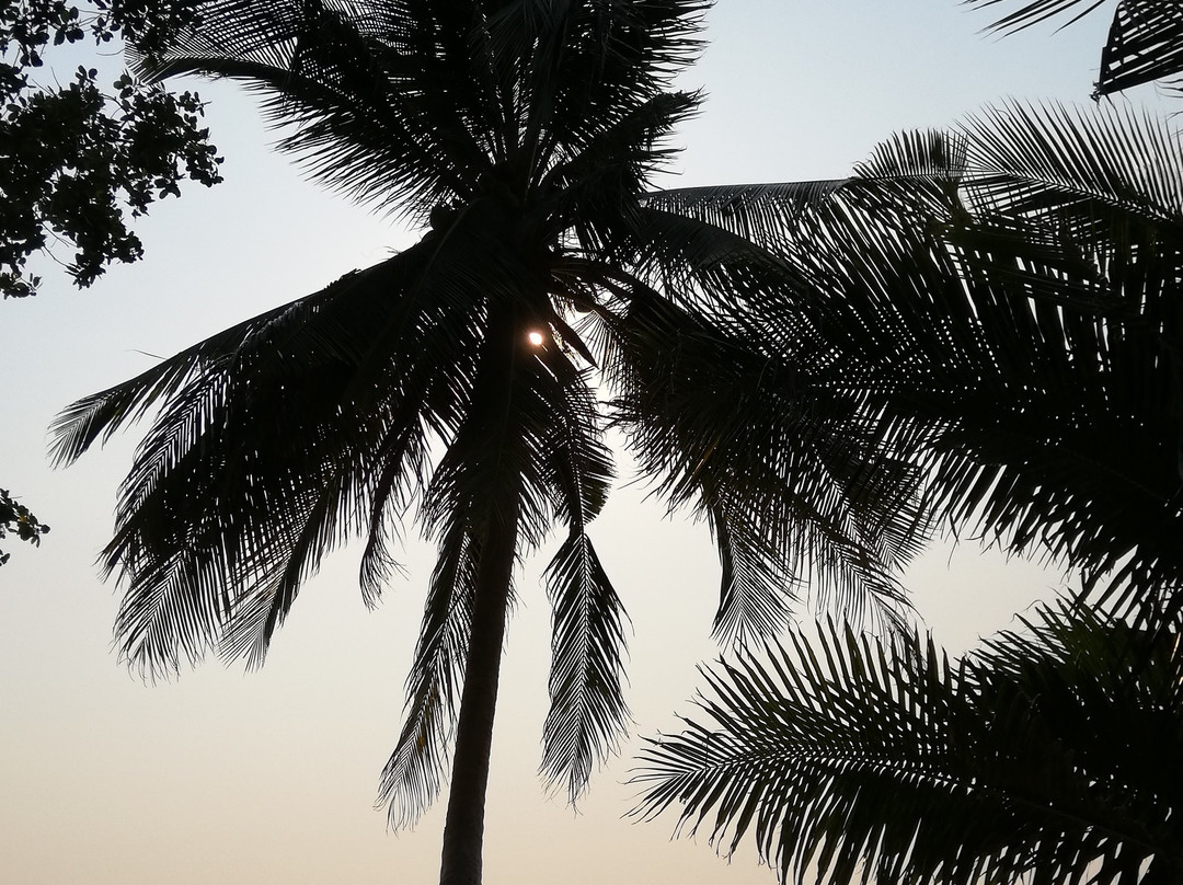 慵懒时日度假村主图