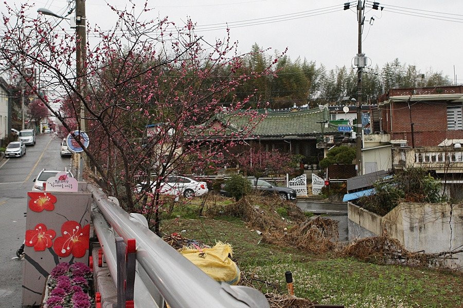 Maegokdong Tammae Village-顺天市必去景点