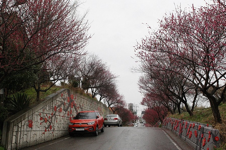 Maegokdong Tammae Village-顺天市必去景点