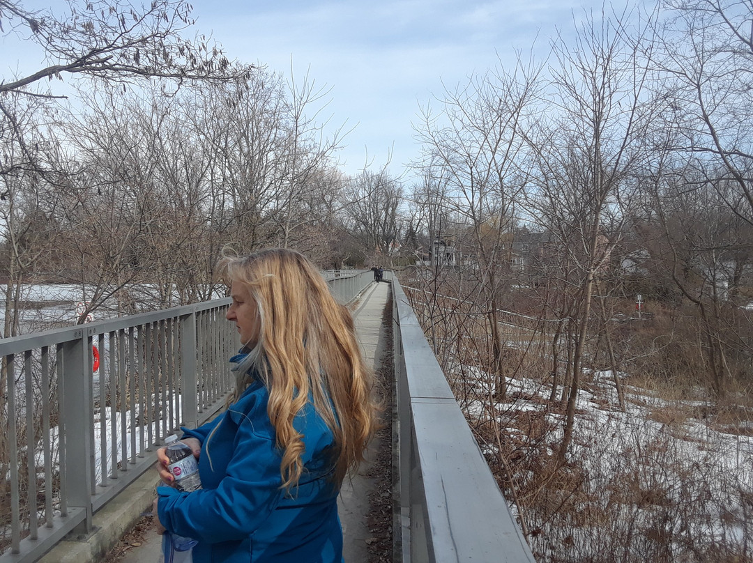 Toogood Pond Park-于人村必去景点