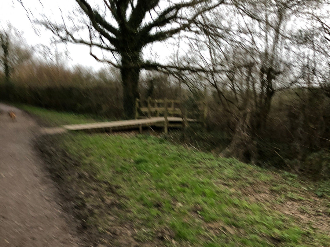 Chesworth Farm景点图片