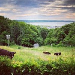 The Beach Plum Inn主图