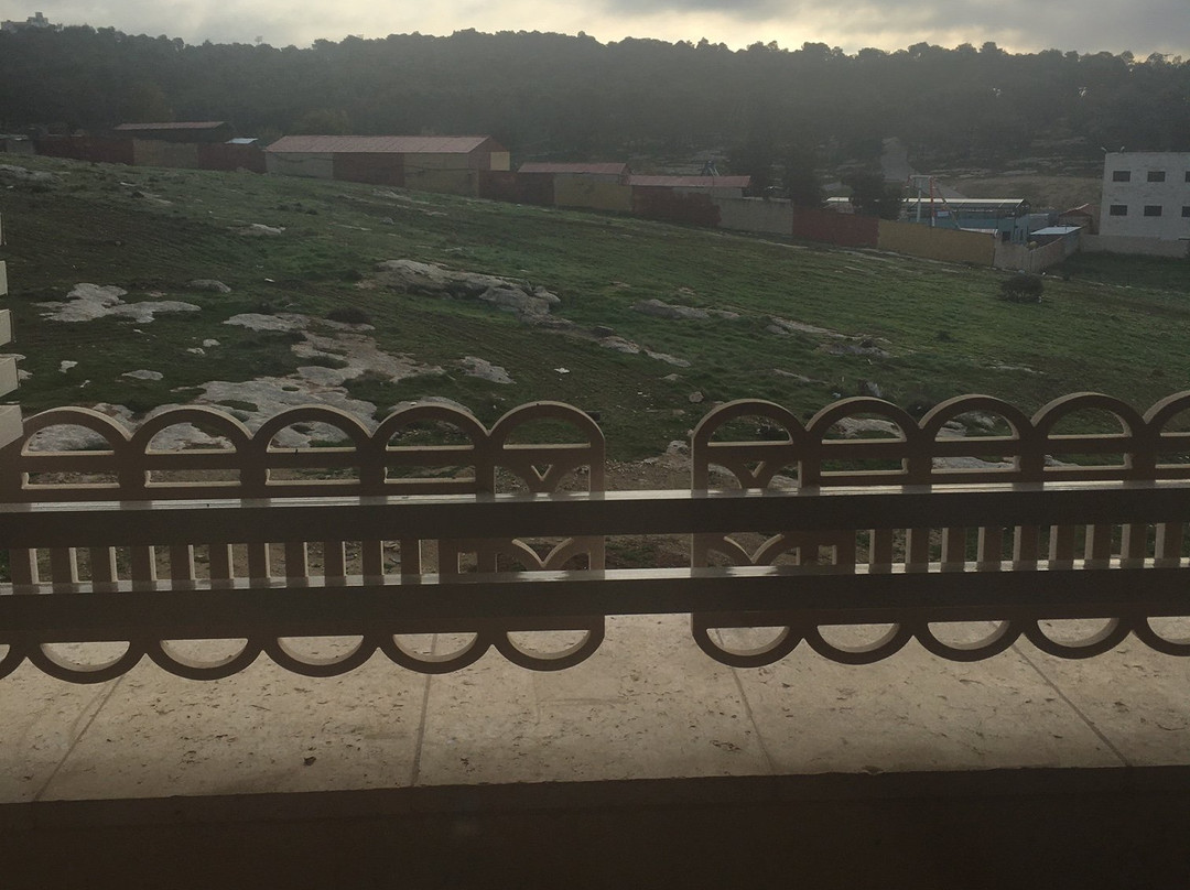 Opal Hotel Amman主图