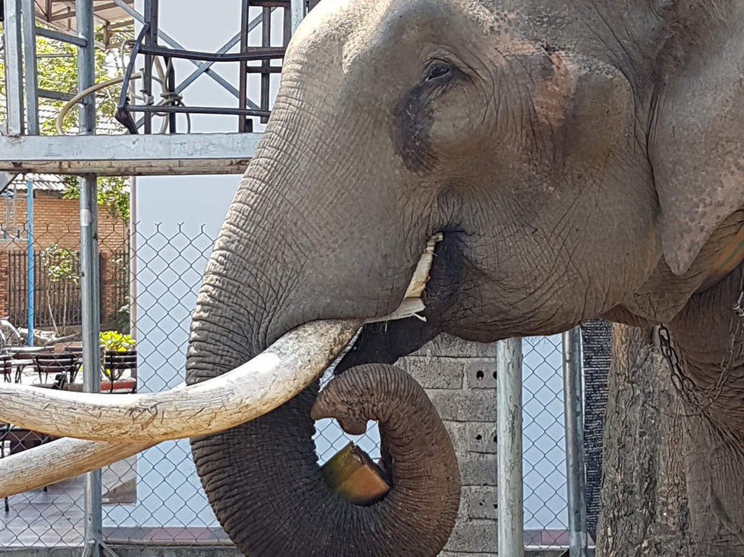 DakViet Travel - Day Tours-托伯莫里必去景点